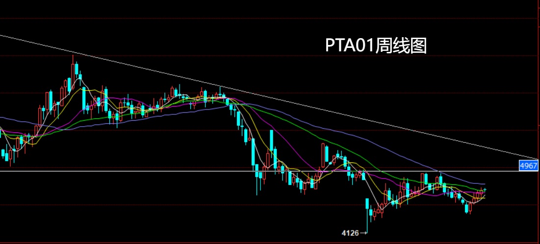 1763253114155673.jpg PTA.jpg