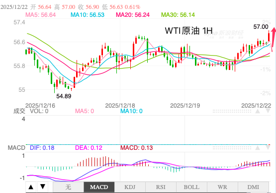 1766362030255395.png oil.png