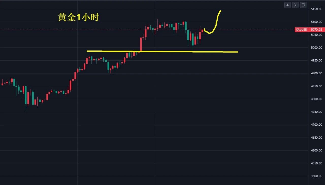 1769482708611069.jpg 1.27..jpg