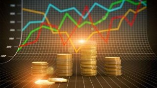 1769494895353815.jpg 1 (284).jpg