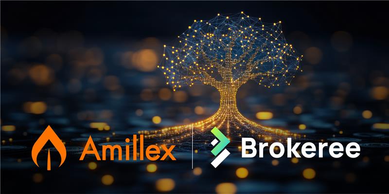 Amillex安迈国际平台× Brokeree｜全新跟单交易系统正式上线