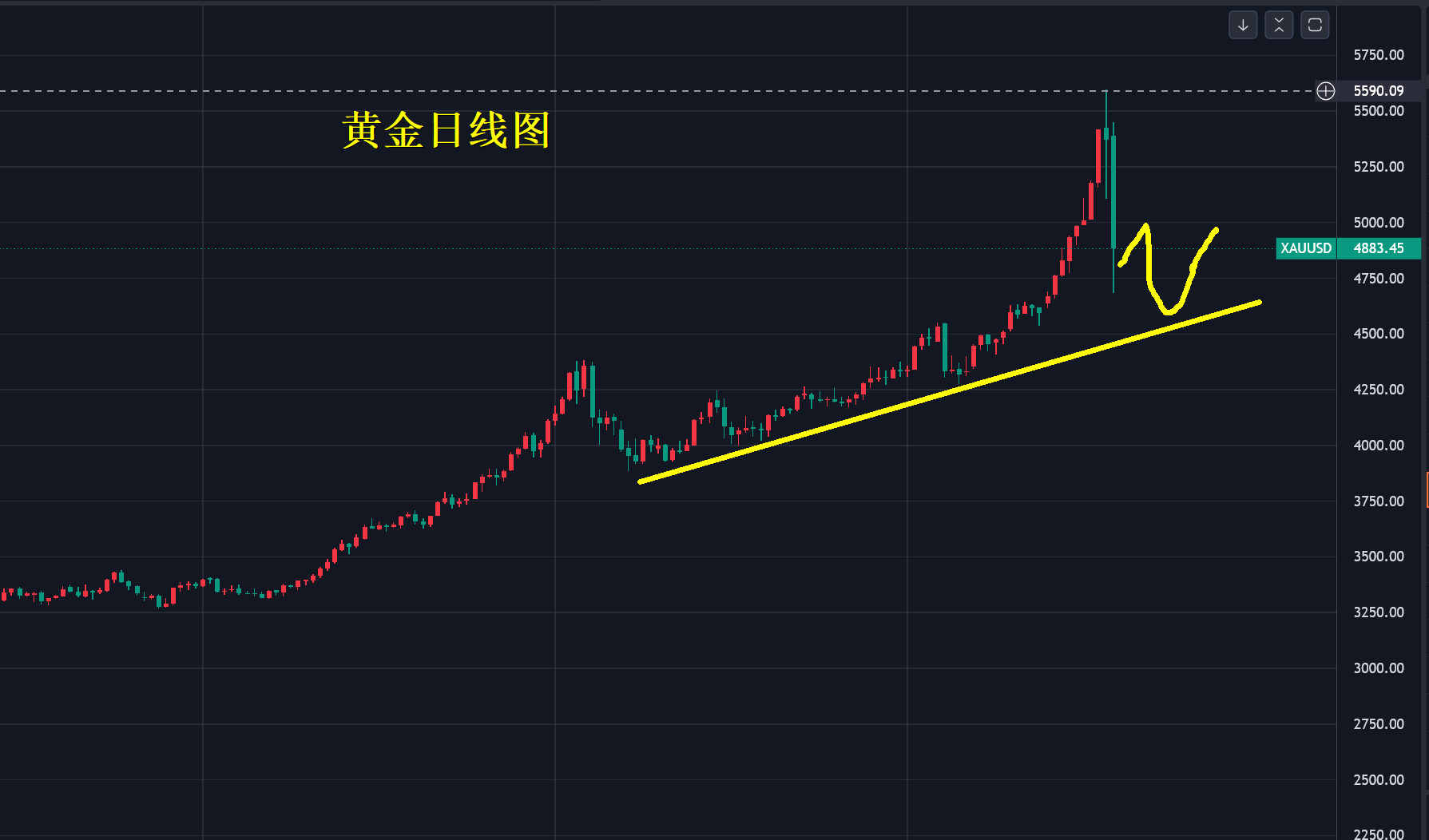 1769929172831944.png 2.1..png