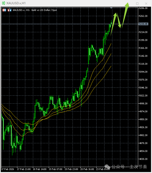 1771892023942436.png 640.png