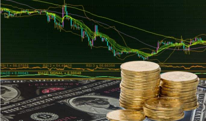 1772527576335335.jpeg 2 (14).jpeg