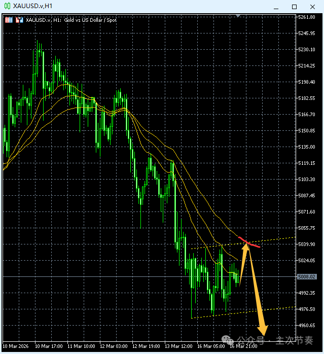 1773708140916015.png 640 (19).png