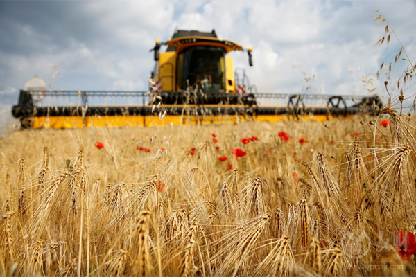 伊朗战争扰乱化肥供应链 全球食品价格或上涨