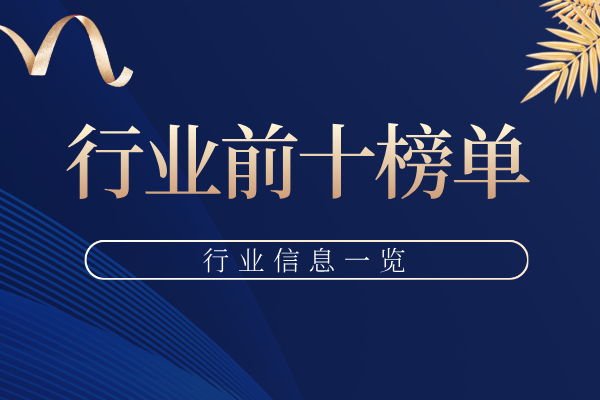 行业榜单前十.png