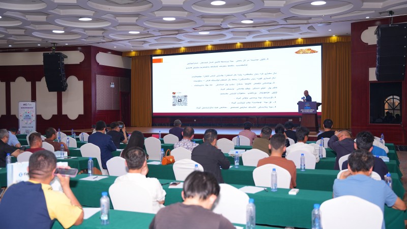 交易者同盟会2026浅谈交易暨百城联动线下技术交流会(喀什站)取得圆满成功! 交易者同盟会2026浅谈交易暨百城联动线下技术交流会(喀什站)取得圆满成功!