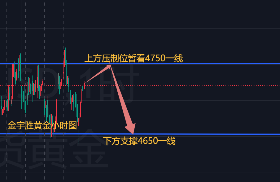 6189d348-5e55-4cd0-9b77-31a39b8e6ee6.png